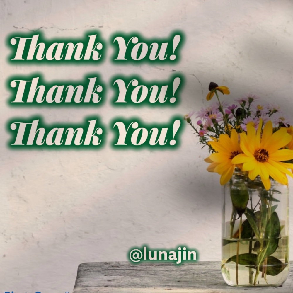 Thank you! Thank you! Thank you! @Lunajin